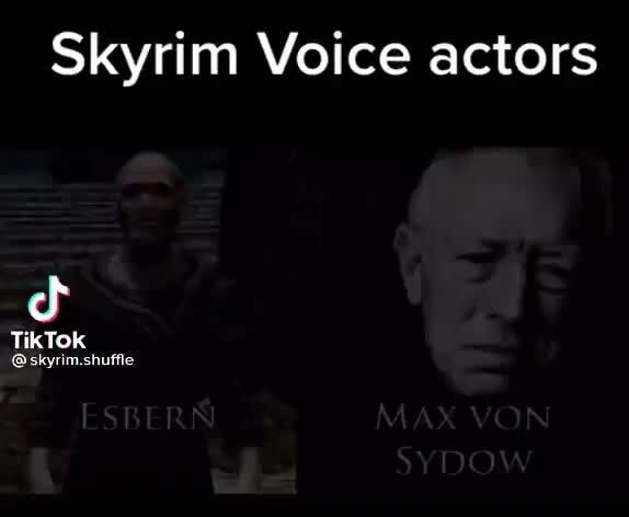 how many voice actors in skyrim