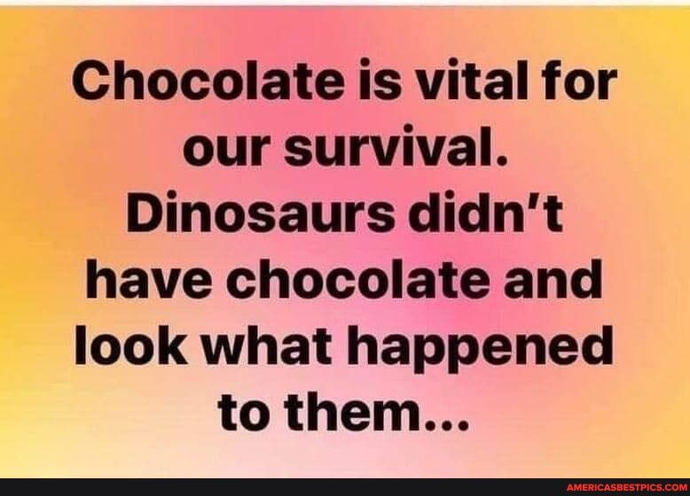 Chocolate is vital for our survival.
Dinosaurs didn't have chocolate and look what happened to them...
