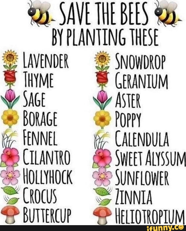 Geranium memes. Best Collection of funny Geranium pictures on iFunny