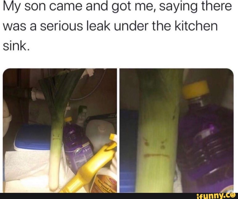 My son came and got me, saying there
was a serious leak under the kitchen
sink.