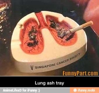 FunnyPart.com
Lung ash tray - Lung ash tray