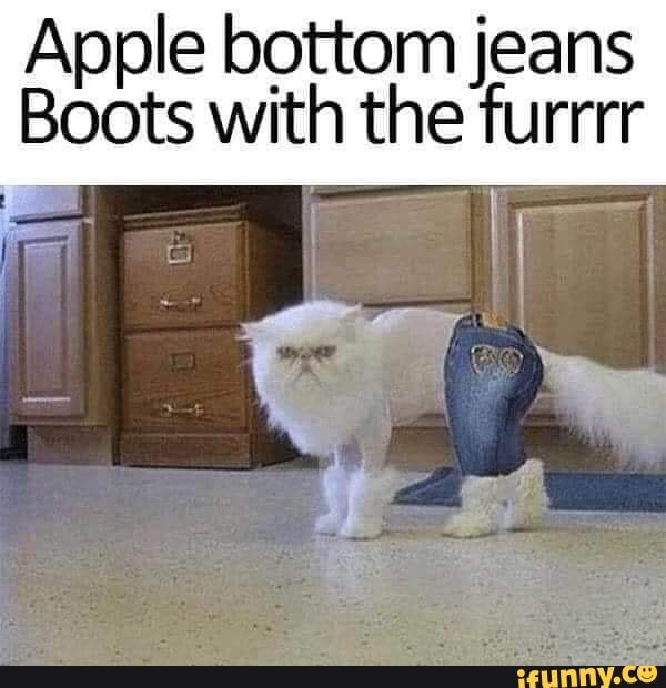romanforfatter Regnskab Mappe Apple bottom jeans Boots with the furrrr - iFunny Brazil