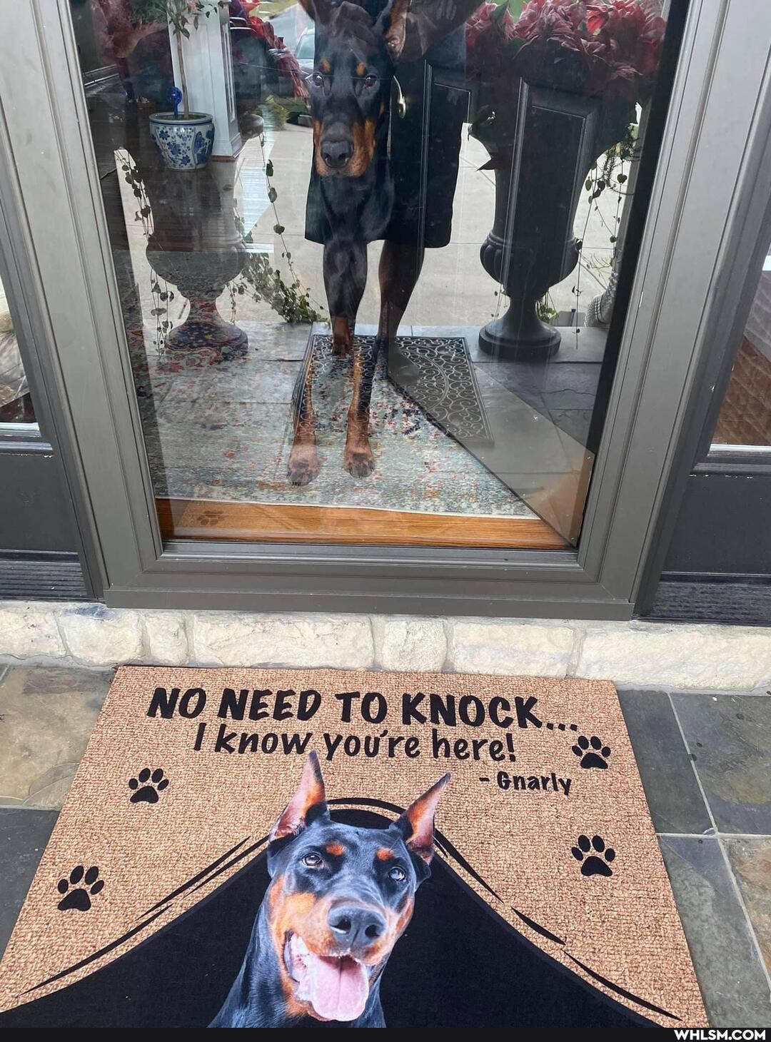 NO know. TO you' KNOCK...
know. you' rehere!
- Gnatly