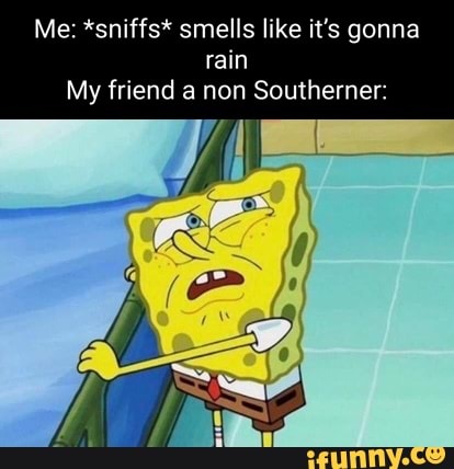 Me Sniffs Smells Like It S Gonna Rain My Friend A Non Southerner Me Sniffs Smells Like It S Gonna Rain My Friend A Non Southerner