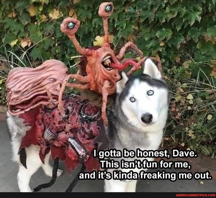 I gotta be honest, Dave.
This isnjtfun for me, and it's kinda freaking me out.