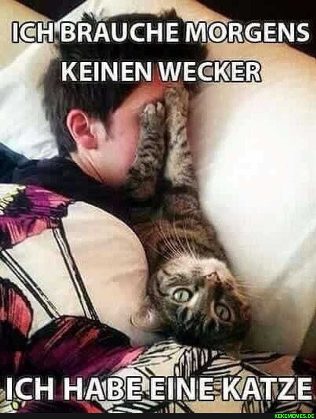 ICH
NUICHE MIRGENS EINEN WECKER
ICH HABE EINE KATZE