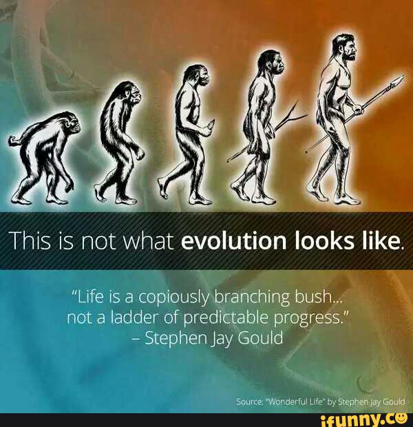 This is not what evolution looks like.
"Life is a copiously branching bush.,.
not a ladder of predictable progress.”
-
Stephen JayGould