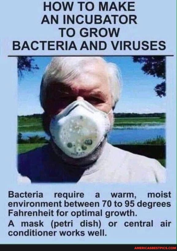 HOW TO MAKE AN INCUBATOR TO GROW BACTERIA AND VIRUSES Bacteria require a warm, moist environment