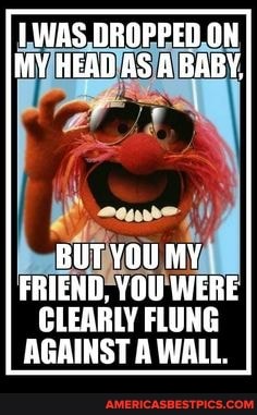 WAS .DROPPED ON MY HEAD AS A BABY,
BUT YOU MY FRIEND, YOU WERE CLEARLY FLUNG AGAINST A WALL