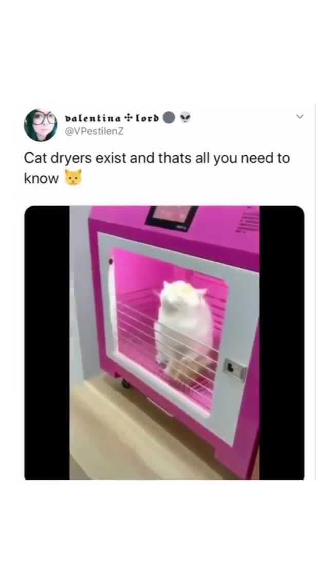 Cat dryers exist and thats all you need to know