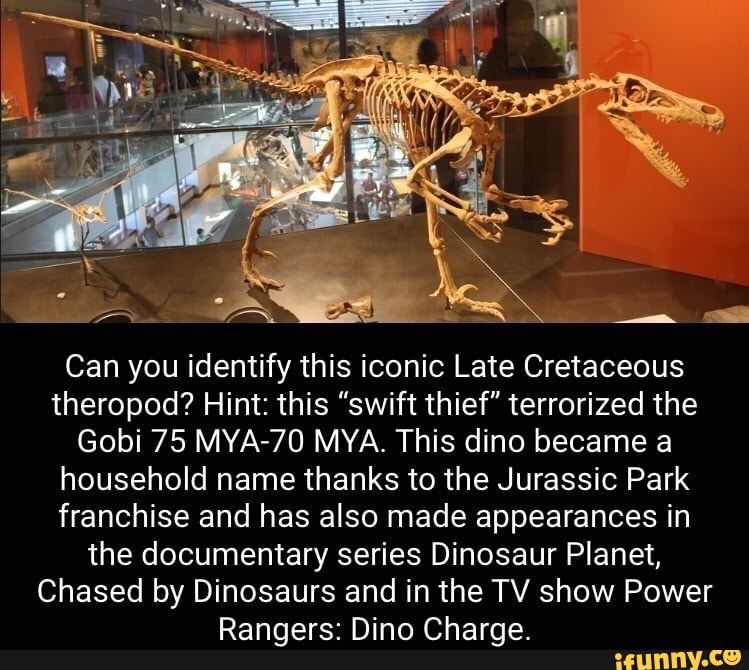 Can you identify this iconic Late Cretaceous theropod? Hint: this ...