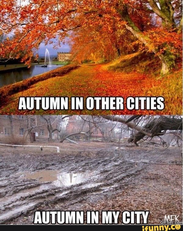 AUTUMN IN OTHER GITIES
AUTUMN IN MY CITY