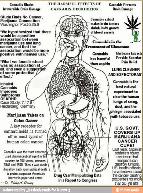 Cannabis Blocks THE MARMFUL FFI Cannabis Prevents Ireversible Brain ...