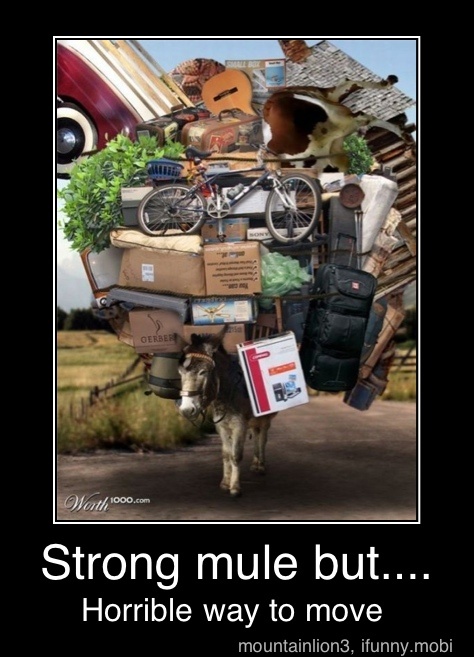 Strong mule but....
Horrible way to move - Strong mule but....
Horrible way to move