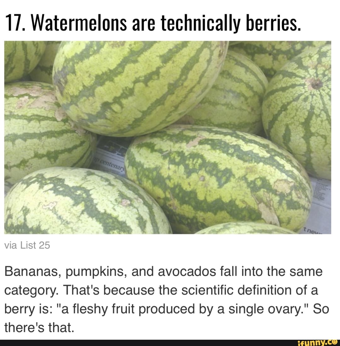 17. Watermelonsl are technically berries. via List 25 Bananas, pumpkins