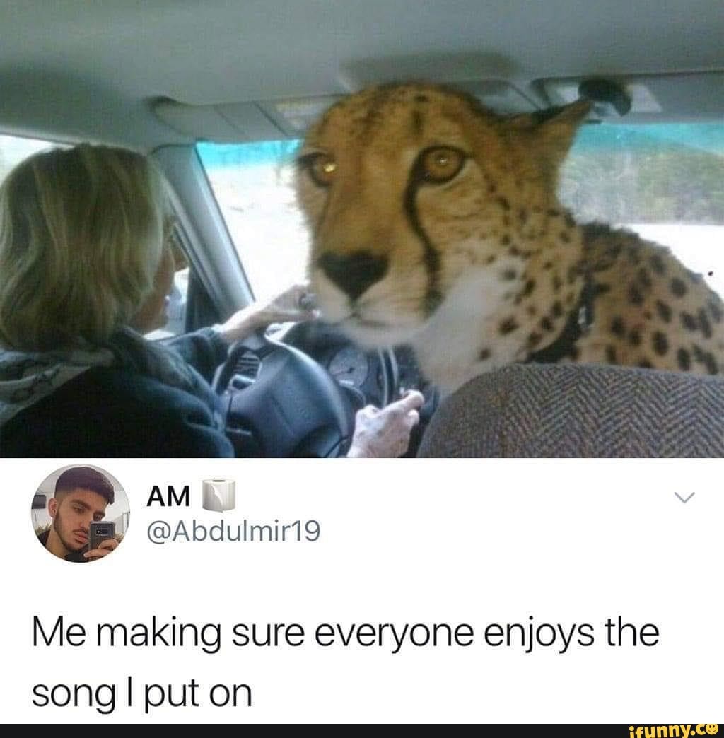 @Abdulmir19
Me making sure everyone enjoys the song I put on