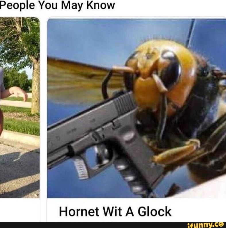 memes. Best Collection of funny pictures on iFunny