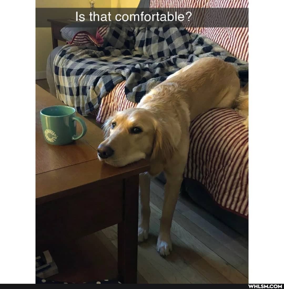 Is that comfortable? ll