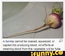 A turnip cannot be coaxed, squeezed, or
SI
esjoled into producing blood. All efforts at
'obtaining blood from this vegetable wil be futle.