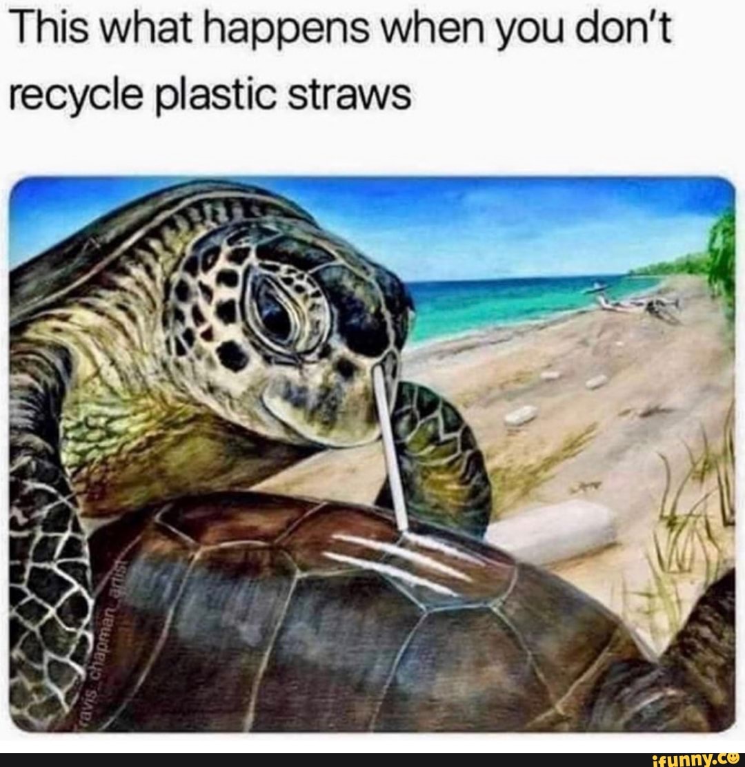 This what happens when you don't recycle plastic straws
AN