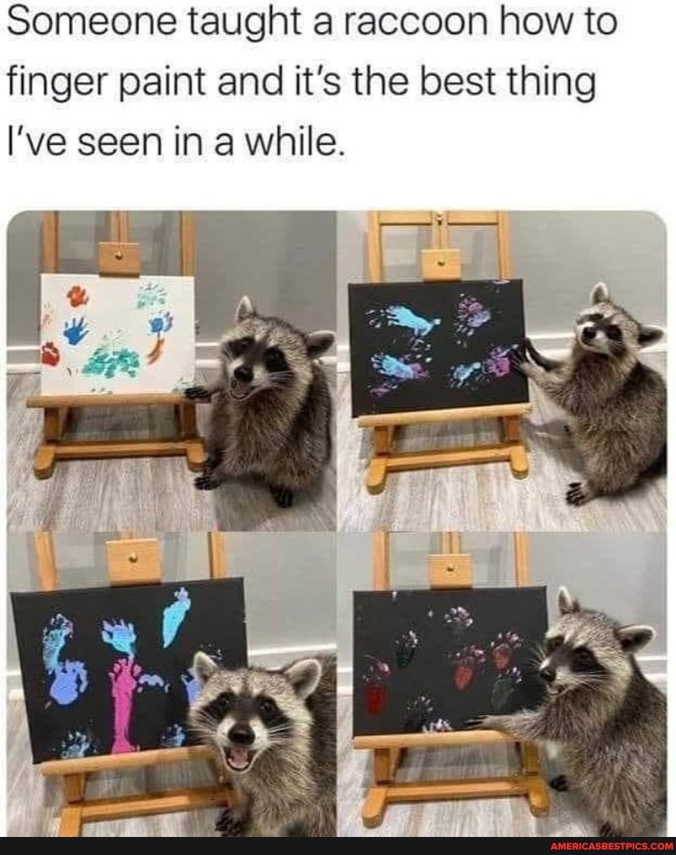 Someone taught a raccoon how to finger paint and it's the best thing
I've seen in a while.