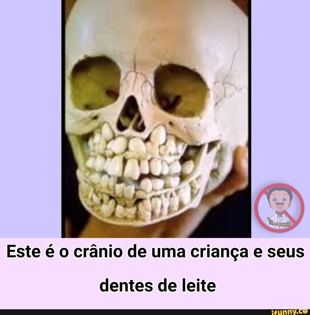 Este é o crânio de uma criança e seus
dentes de leite
