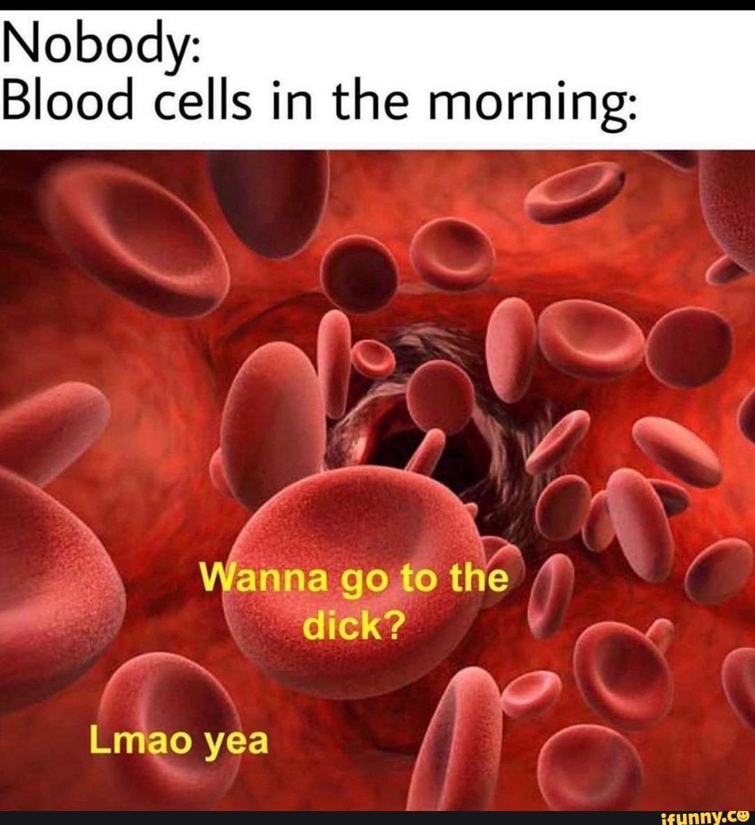 Nobody:
Blood cells in the morning:
anna goto
the 1
dick?
a Lmao yea