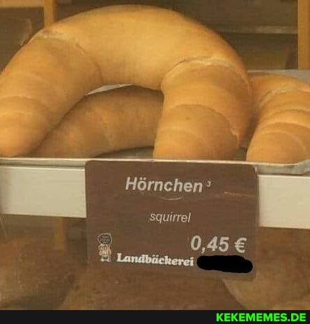 H6rnchen?
Squirrel