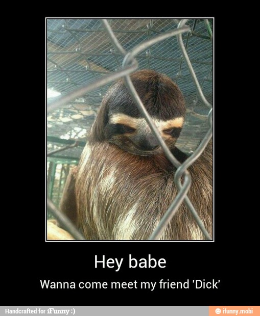 Hey babe
Wanna come meet my friend 'Dick' - Hey babe
Wanna come meet my friend 'Dick'