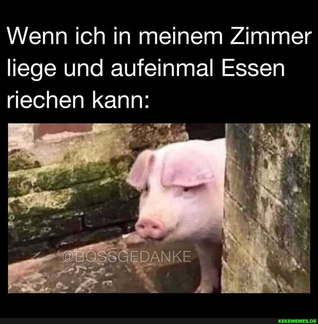 Wenn ich in meinem Zimmer liege und aufeinmal Essen riechen kann:
@BOSSGEDANKE