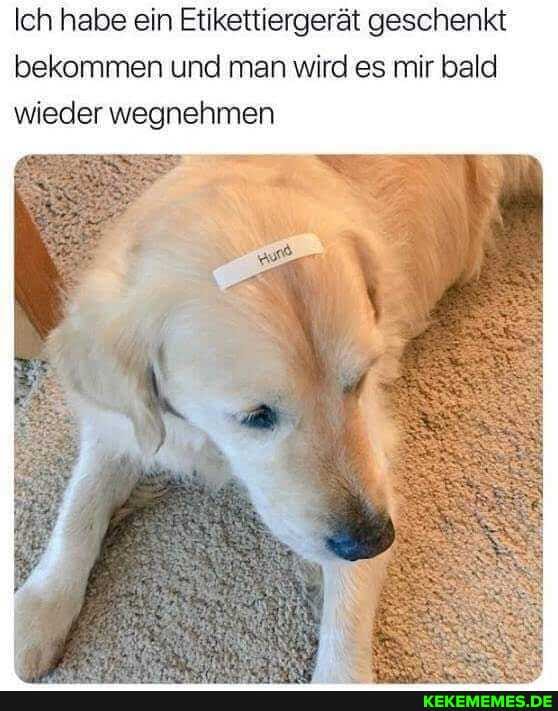 Ich habe ein Etikettiergerät geschenkt bekommen und man wird es mir bald wieder wegnehmen