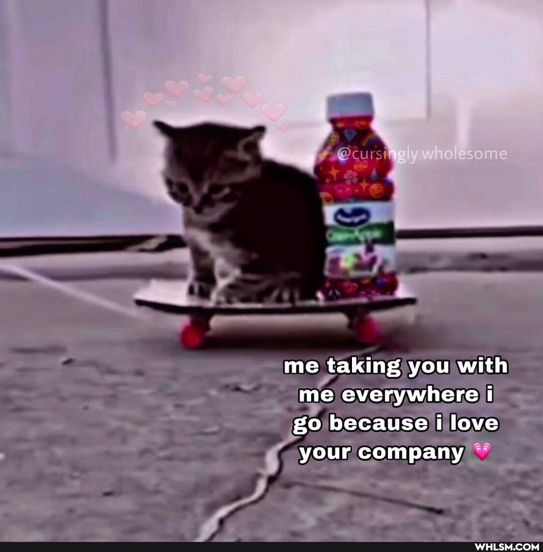 curs
me taking you with me everywhere i
because i love your company