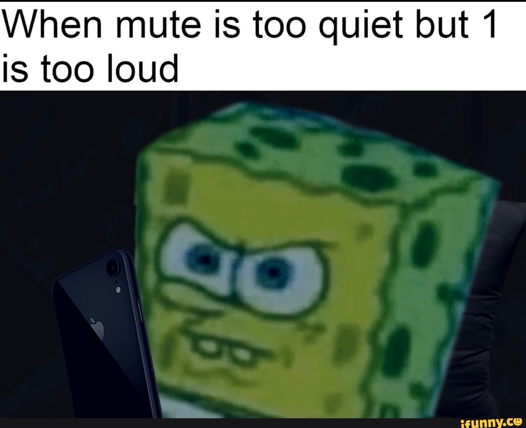 When Mute Is Too Quiet But 1 Is Too Loud Ifunny - how to mute roblox music