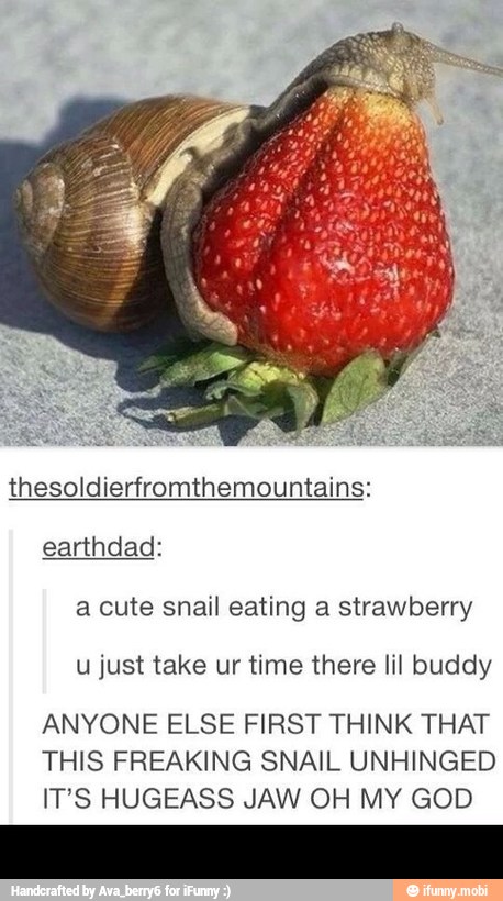 thesoldierfromthemountains:
earthdad:
a cute snail eating a strawberry
u just take ur time there lil buddy
ANYONE ELSE FIRST THINK THAT
THIS FREAKING SNAIL UNHINGED
IT'S HUGEASS JAW OH MY GOD -