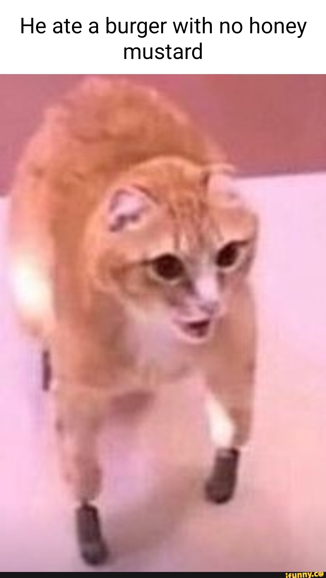 He ate a burger with no honey mustard iFunny