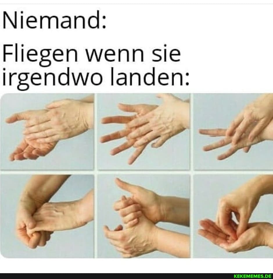Niemand:
Fliegen wenn sie irgendwo landen: