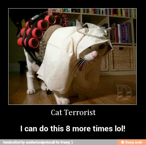 Cat Terrorist
I can do this 8 more times lol! - I can do this 8 more times lol!