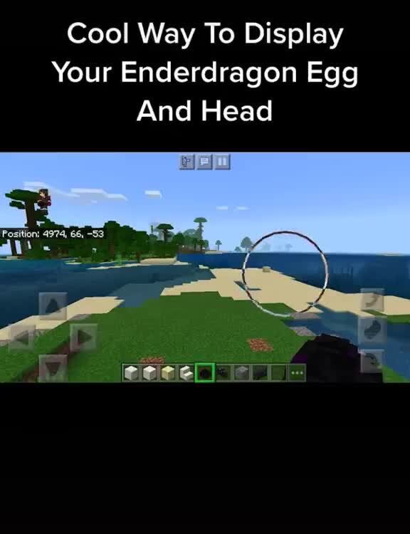 cool way to display your enderdragon egg and head