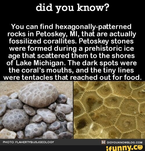 Pataski Rocks Did you know? You can find hexagonally-patterned rocks in Petoskey, MI ...