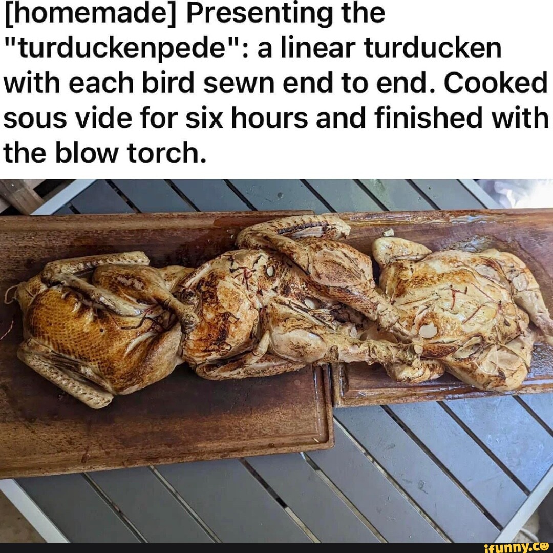 [homemade] Presenting the "turduckenpede" a linear turducken with each