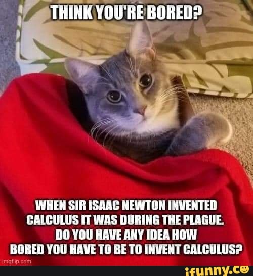 before newton who invented calculus