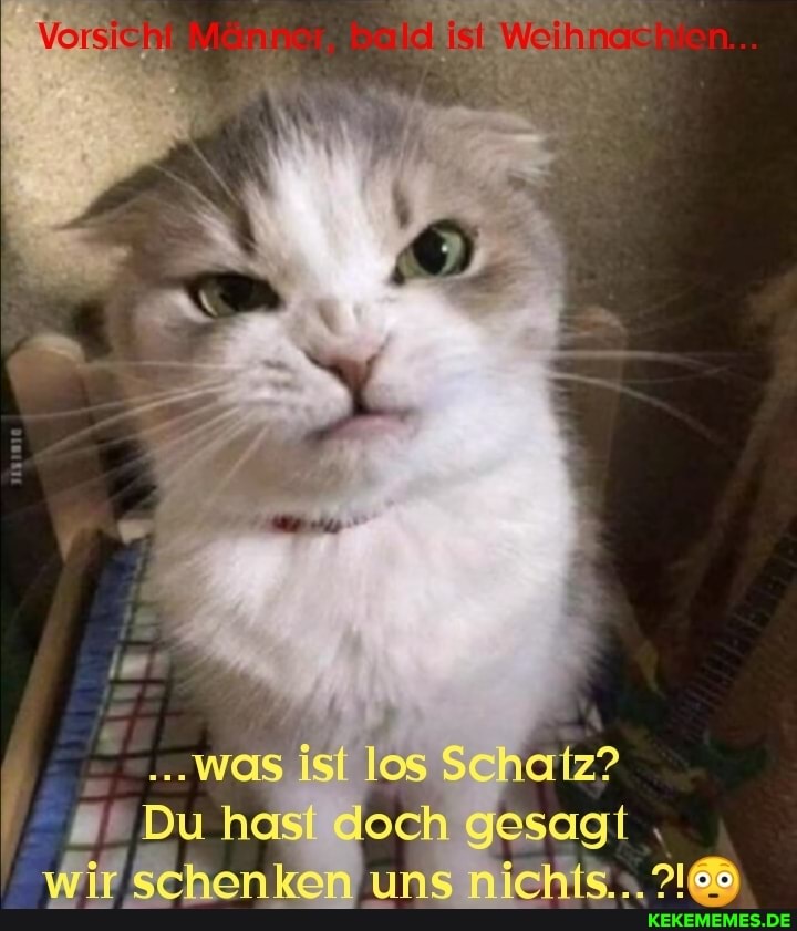 ..Wwas Ist los Schatz?
Du hasi doch gesagt uns nichts