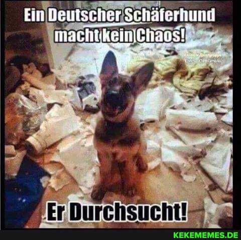 danke, für, die, aufnahme