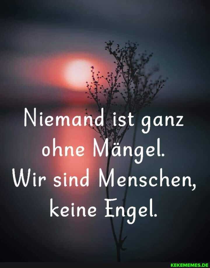 Niemand ist ganz
Ming
Wir sind Menschen,
keine Engel.