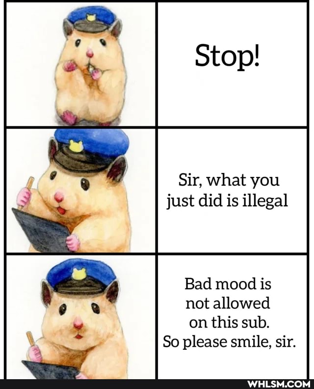 Stop!
Sir, what you just did is illegal
Bad mood is not allowed on this sub.
So please smile, sir.