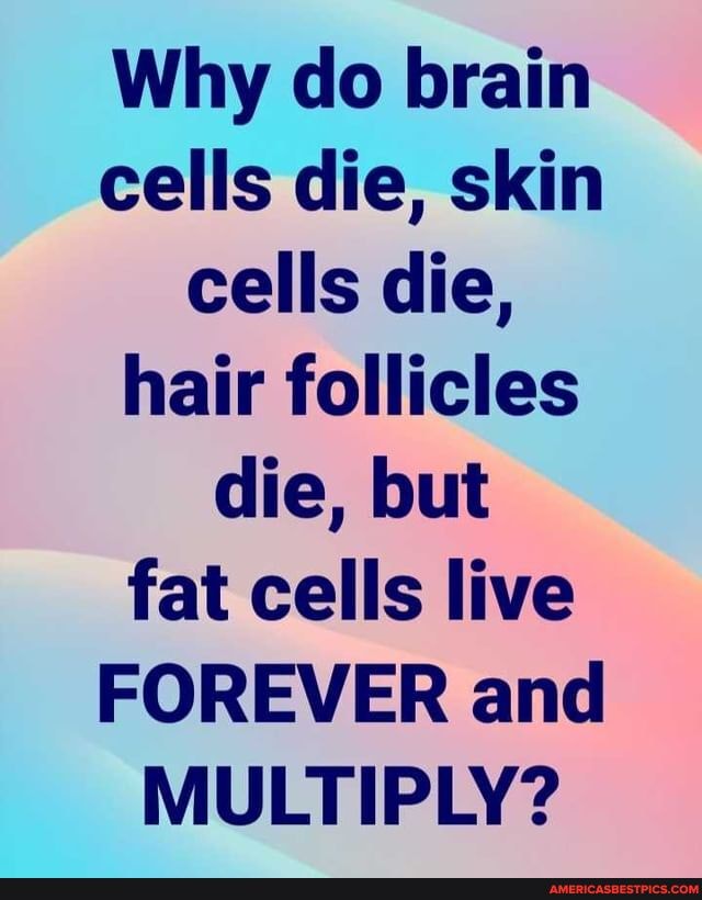 Why do brain cells die, skin cells die, hair follicles die, but fat