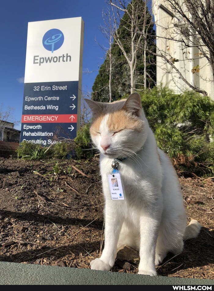 32 Erin Street
Epworth Centre
Bethesda Wing >
EMERGENCY Epworth >
Rehabilitation