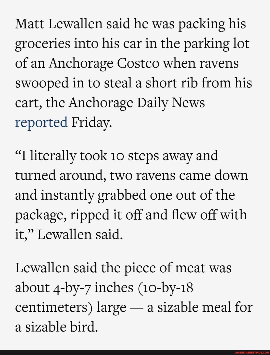 Matt Lewallen said he was packing his groceries into his car in the parking lot of an Anchorage Costco when ravens swooped in to steal a short rib from his cart, the Anchorage Daily News reported Friday.
"T literally took 10 steps away and turned around, two ravens came down and instantly grabbed one out of the package, ripped it off and flew off with it," Lewallen said.
Lewallen said the piece of meat was about 4-by-7 inches (10-by-18 centimeters) large - a sizable meal for a sizable bird.