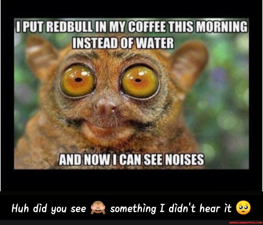 PUT IN MY COFFEE THISIMORNING
/INSTEAD, OF WATER
Huh did you see something I didn't hear it - Huh did you see đŸ™ˆ something I didn't hear it đŸ¥º