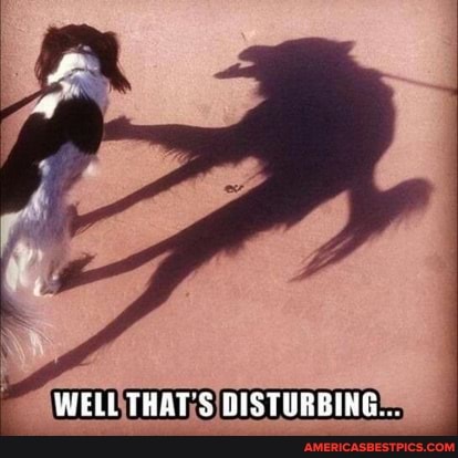 WELL THAT'S DISTURBING...